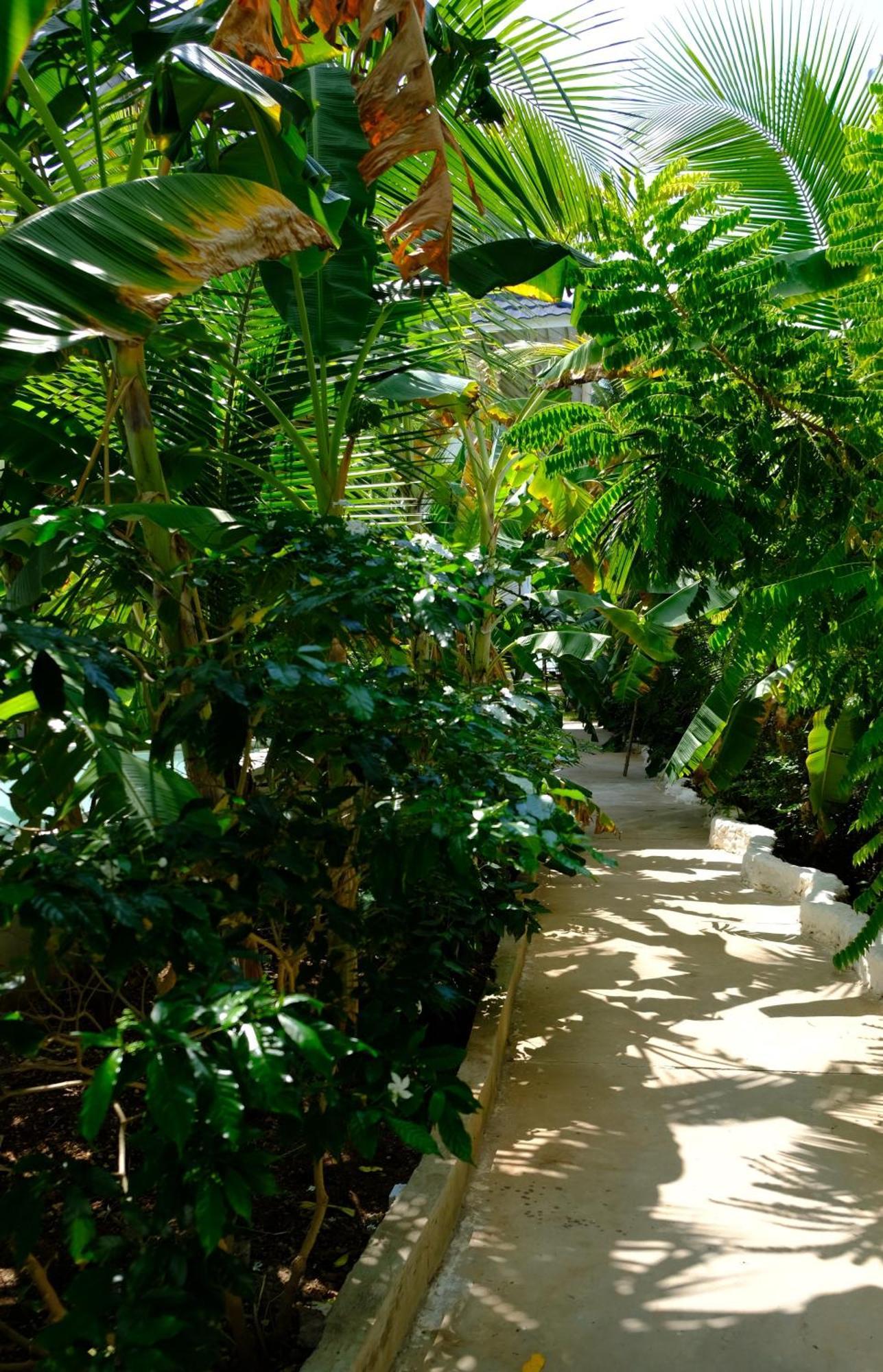 Kobe House Bed and Breakfast Jambiani  Exteriör bild