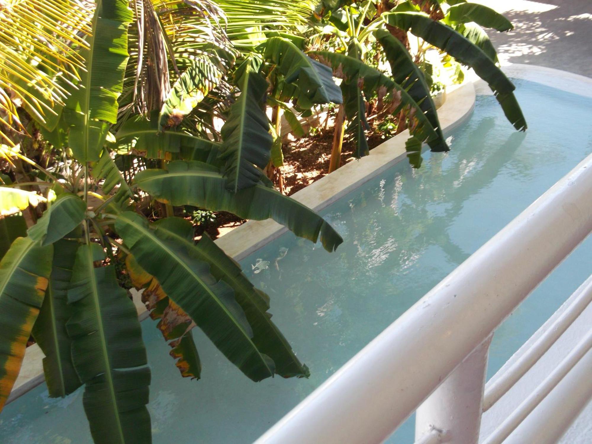 Kobe House Bed and Breakfast Jambiani  Rum bild